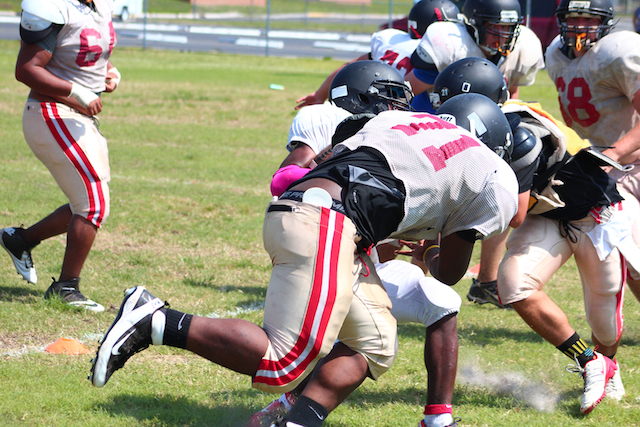 Dunedin Practice